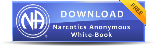 Download Narcotics Anonymous White Book